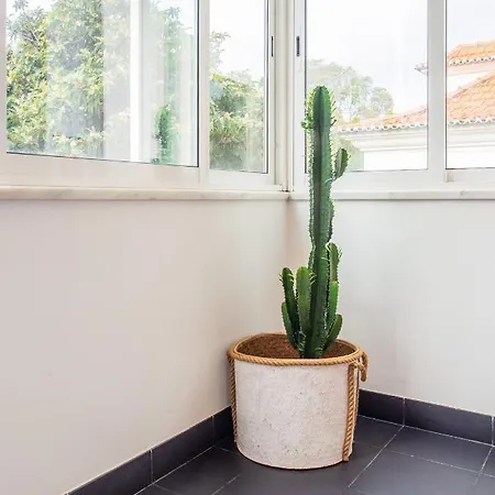 Casa De Do Pipas