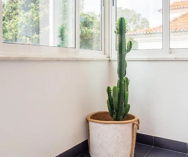 Casa De Do Pipas